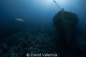 This is a wreck off highbourne cay, bahamas we call the a... by David Valencia 